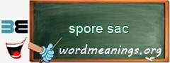 WordMeaning blackboard for spore sac